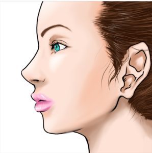 美容用女性の横顔イラスト